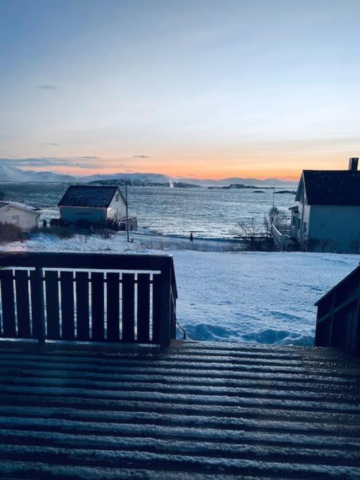 With Sauna In The Arctic Caribbean, * Tromsø
