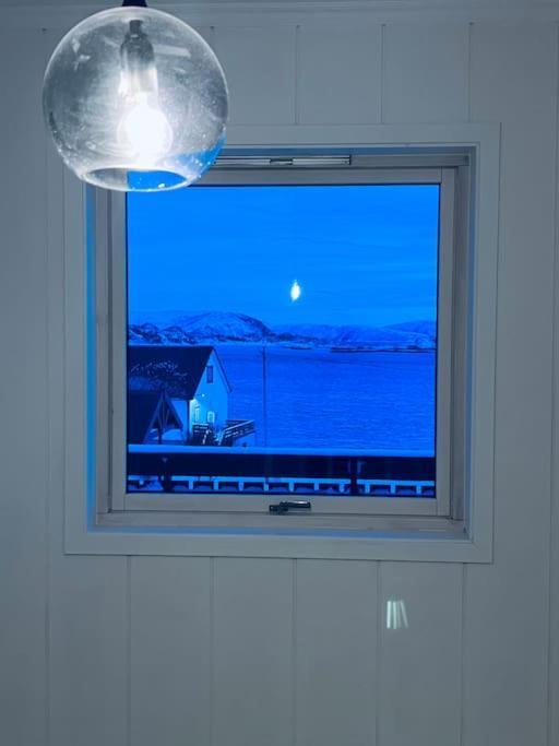 With Sauna In The Arctic Caribbean, Villaer